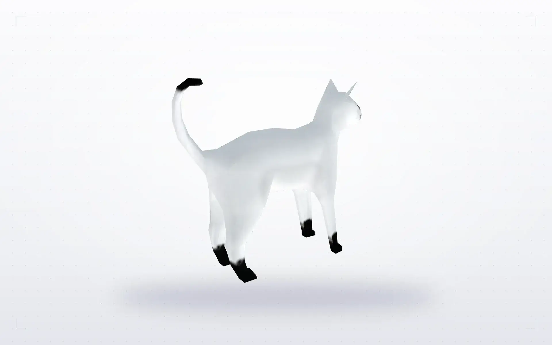 White Cat — preview 2