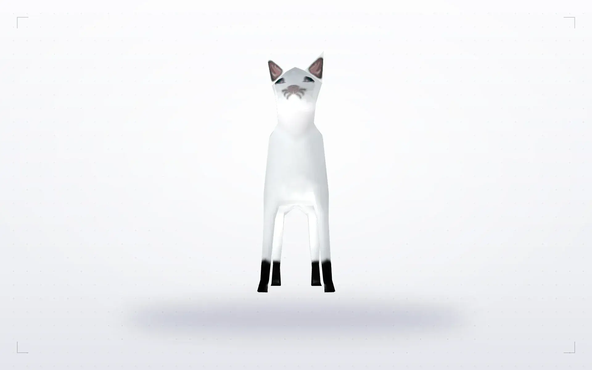 White Cat — preview 3